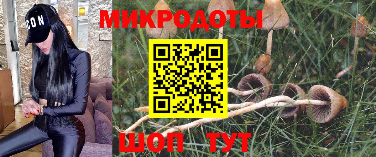 Галлюциногенные грибы Psilocybe  Псилоцибиновые грибы Psilocybine cubensis  Вход с VPN  Назрань 